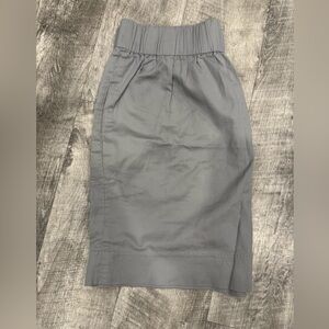 J. Crew Women's Skirt